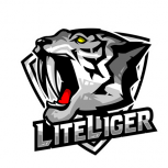 LiteLiger